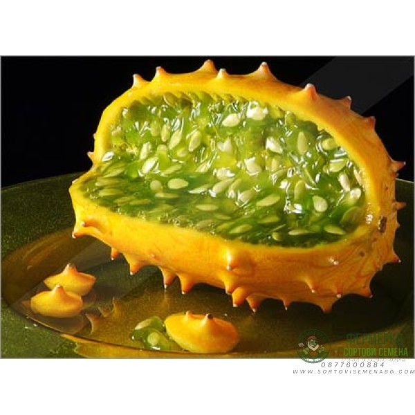 Кивано Африканска рогата краставица (Cucumis metuliferus)