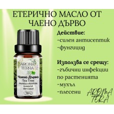 Етерично масло от Чаено дърво