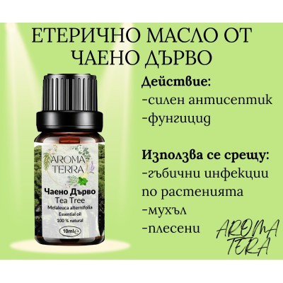 Етерично масло от Чаено дърво