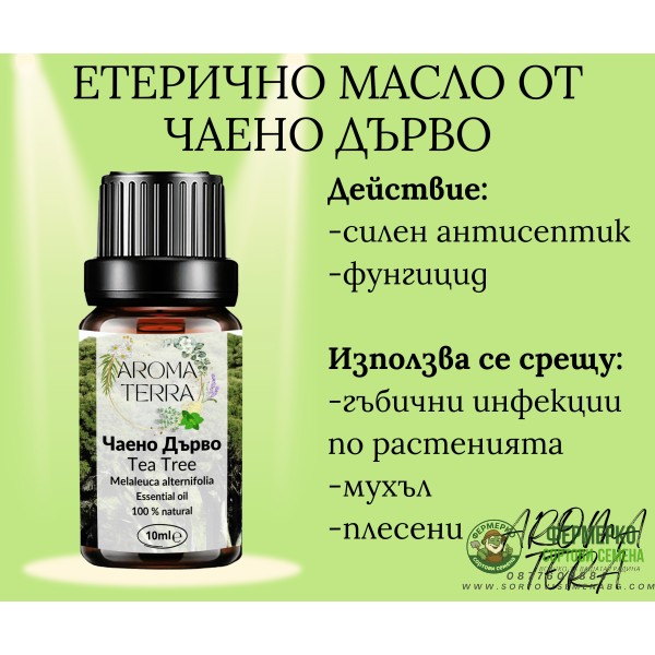 Етерично масло от Чаено дърво
