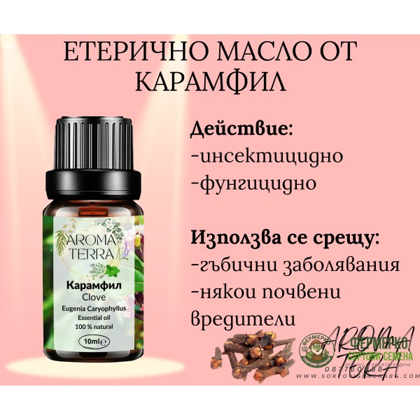Етерично масло от Карамфил
