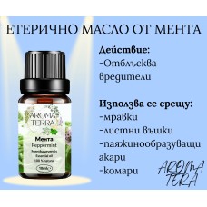 Етерично масло от Мента