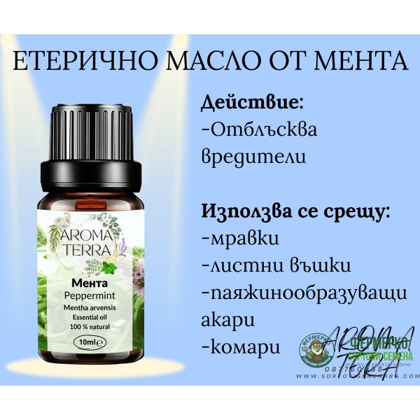 Етерично масло от Мента