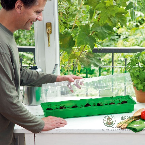 Мини оранжерия с капак (зелена)