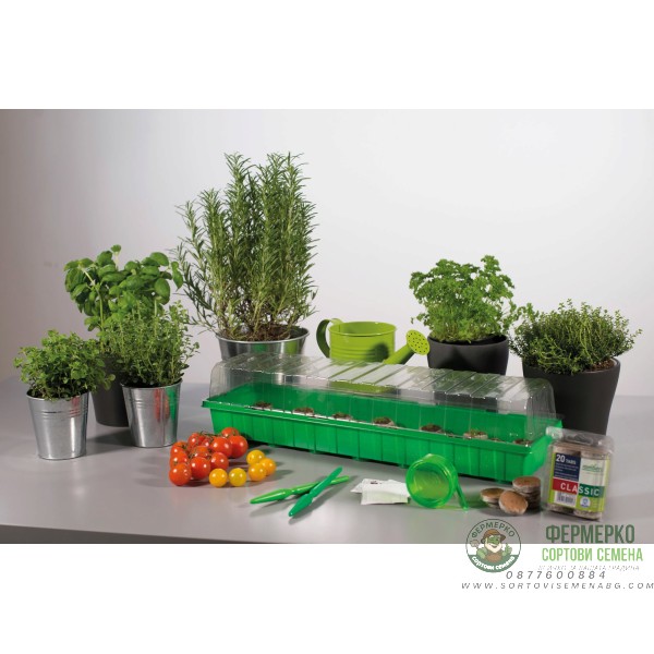 Мини оранжерия с капак (зелена)