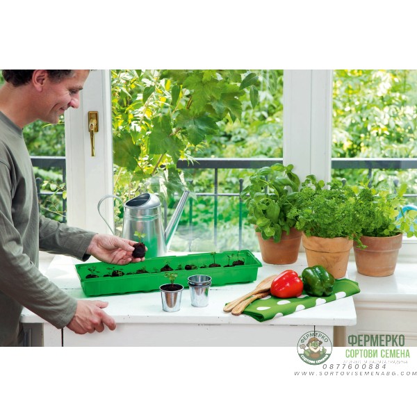 Мини оранжерия с капак (зелена)