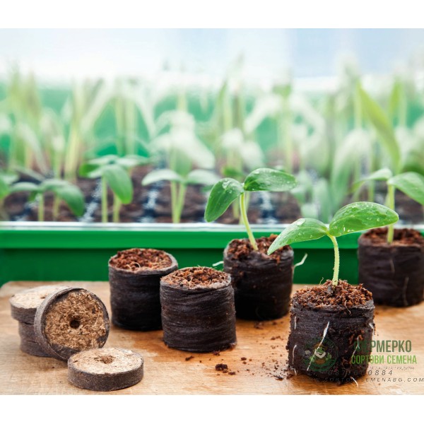 Мини оранжерия с капак (зелена)