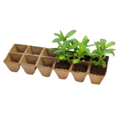 Торфени саксийки за разсад - 12 бр