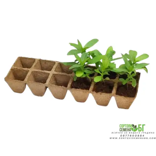 Торфени саксийки за разсад - 12 бр Торфени саксийки за разсад - 12 бр