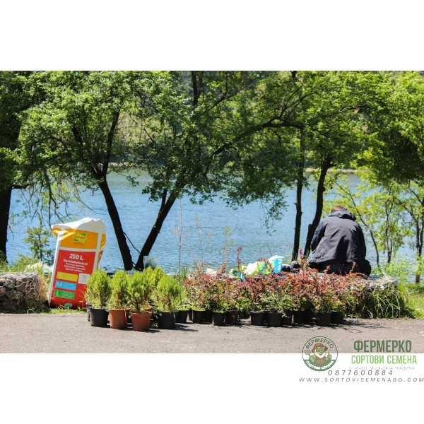 Торфен субстрат - Фина структура S 270 - 250л.