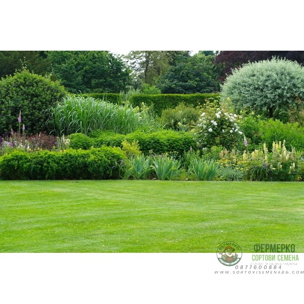 Тревна смес Лилипут Liliput - 1кг