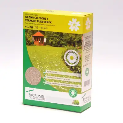 Тревна смеска с многогодишни парички (Bellis perennis) 1кг