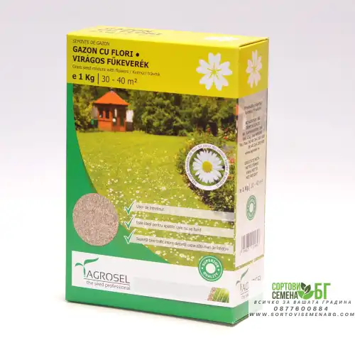 Тревна смеска с многогодишни парички (Bellis perennis) 1кг Тревна смеска с многогодишни парички (Bellis perennis) 1кг