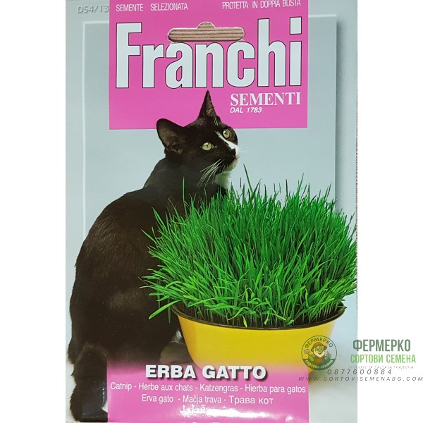 Трева за котки