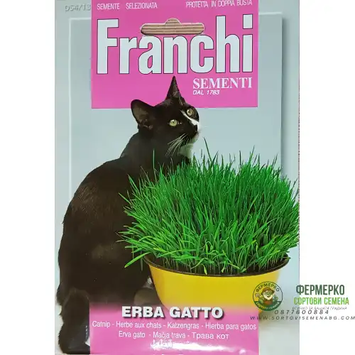 Трева за котки