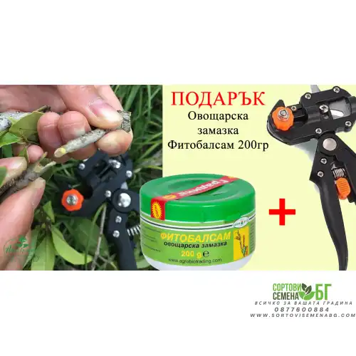 Ножица за ашладисване с 3-накрайника + ПОДАРЪК (ОВОЩАРСКА ЗАМАЗКА)