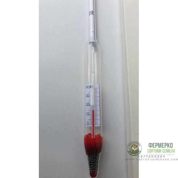 Соломер с термометър