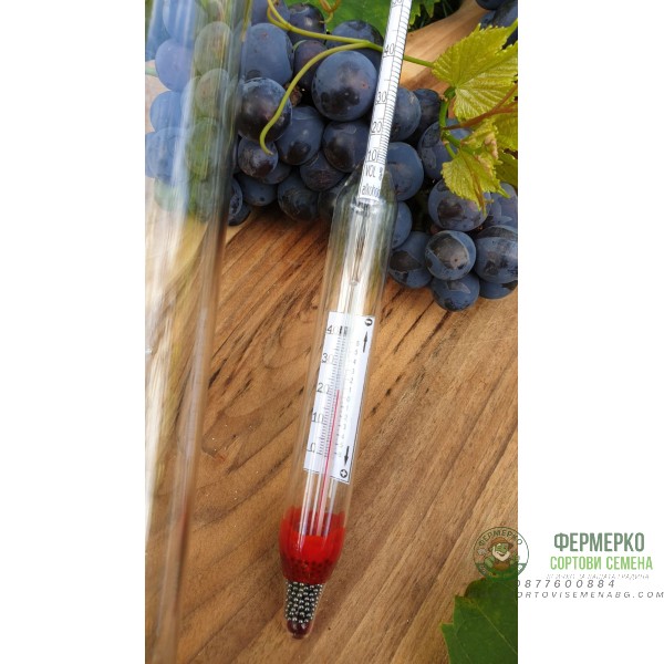 Спиртомер с температурна корекция + цилиндър