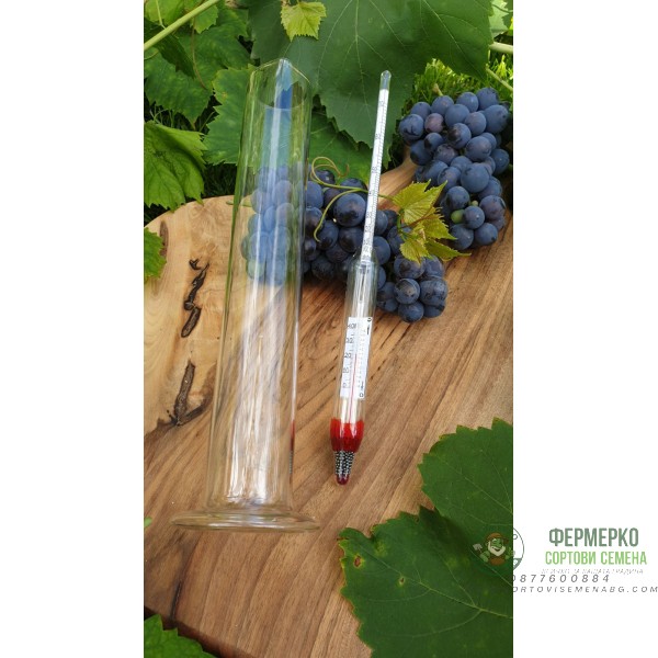 Спиртомер с температурна корекция + цилиндър