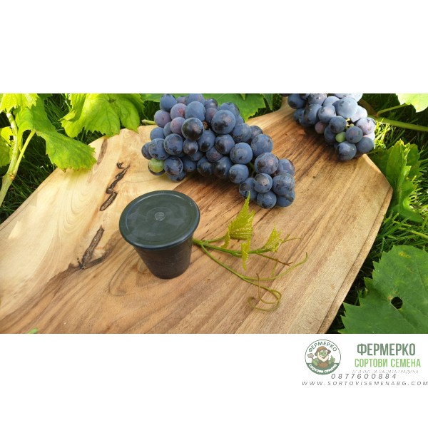 Тапа за дамаджана конус 25 мм - 34 мм