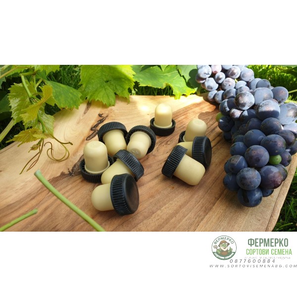 Тапи пластмасови Ø 19