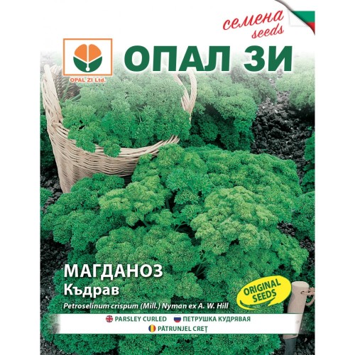 Магданоз - Къдрав 