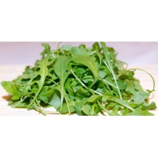 Рукола / Salad Rucola