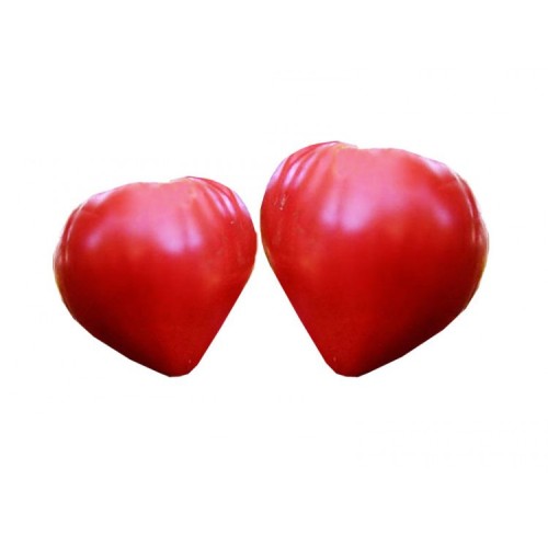 Домати Алено сърце - много едри с уникален вкус (30бр. семена)