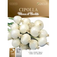 Бял лук Барлета / Cipolla blanca di Barletta