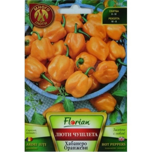 Много люти чушлета - хабанеро (оранжеви)