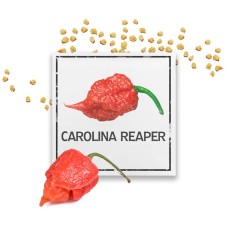 Семена за люти чушки Каролина Рийпър / Seeds Carolina Reaper