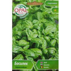 Босилек / Ocimum basilicum