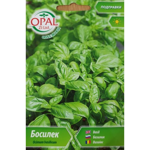 Босилек / Ocimum basilicum