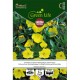Цветя Вечерна Иглика (лековита билка) / Evening primrose