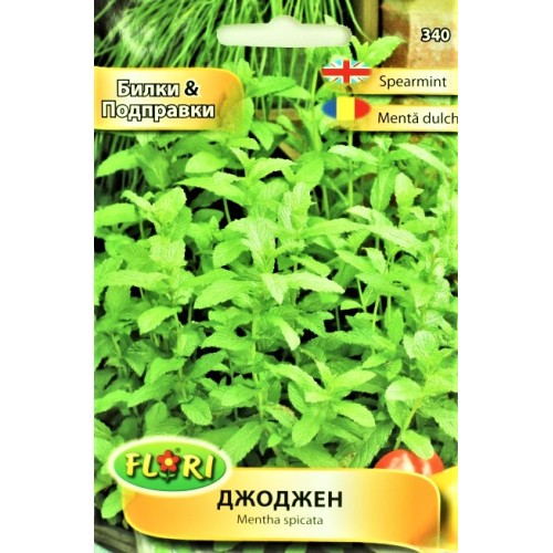 Джоджен / Mentha spicata