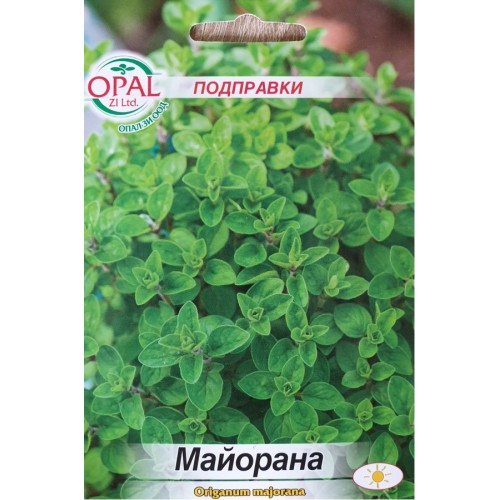 Майорана / Origanum majorana