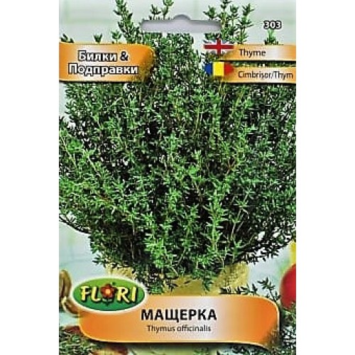 Мащерка / Thymus officinalis