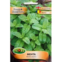 Мента / Mentha piperita