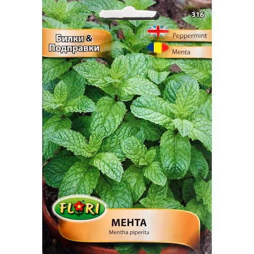 Мента / Mentha piperita