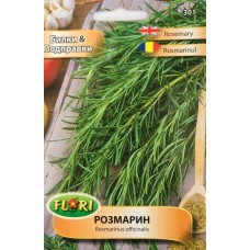 Розмарин / Rosmarinus officinalis