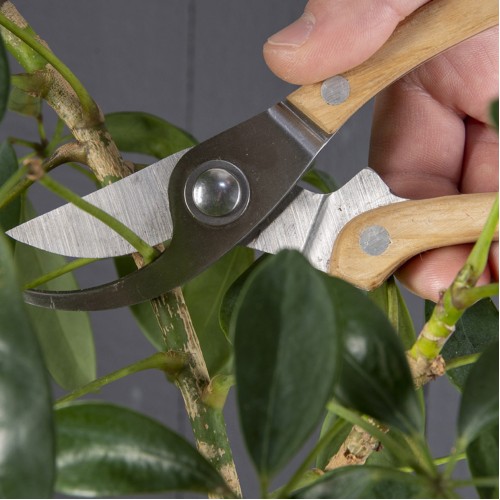 Комплект за резитба от неръждаема стомана Esschert Design - 3 части (калъф,ножица,нож)