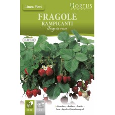 Каскадни Ягоди / Fragole Rampicanti