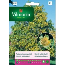 Семена за Лирово дърво (дърво лале) - Liriodendron tulipifera