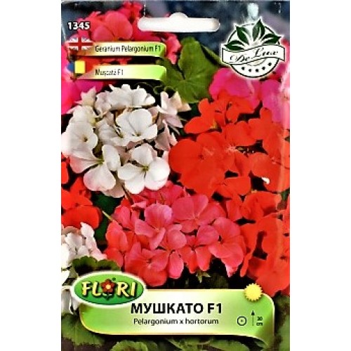 Мушкато F1 / Pelargonium x hortorum