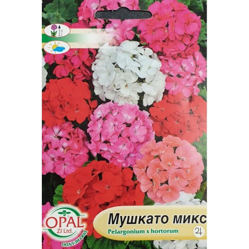 Мушкато F1 микс / Pelargonium x hortorum