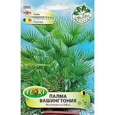 Палма Вашингтония / Washingtonia filifera