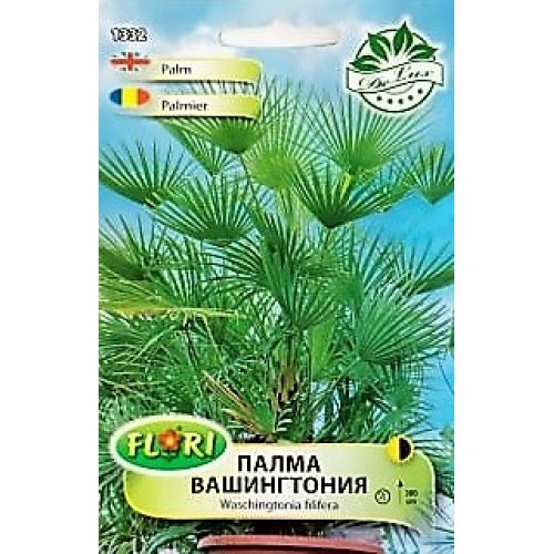 Палма Вашингтония / Washingtonia filifera