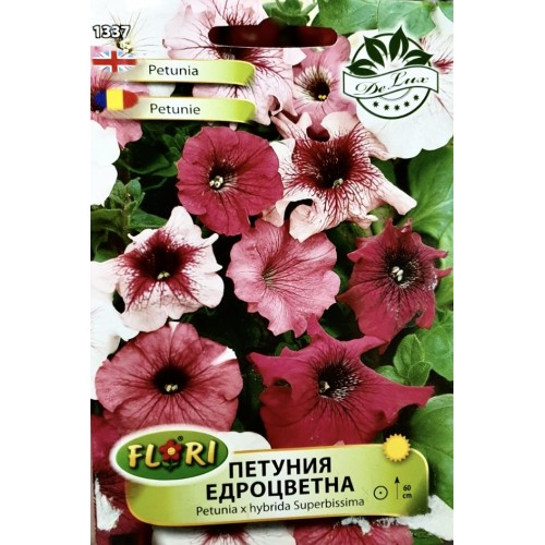 Петуния едроцветна/ Petunia x hybrida Superbissima