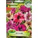 Петуния пъстра микс / Petunia x hybrida grandiflora veined mix