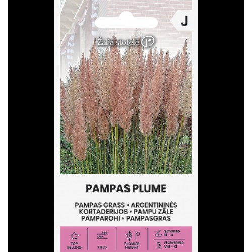 Семена Пампаска трева (розова) / Pampas grass